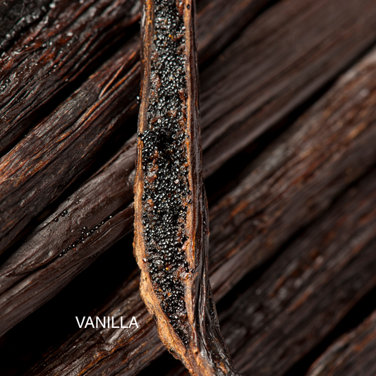 AUTUMN WHIP WHIPPED BODY BUTTER