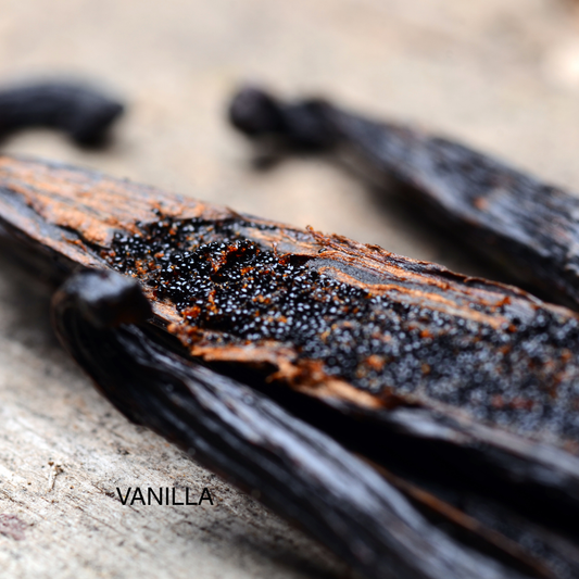 BOUJEE & BUTTERY WHIPPED BODY BUTTER