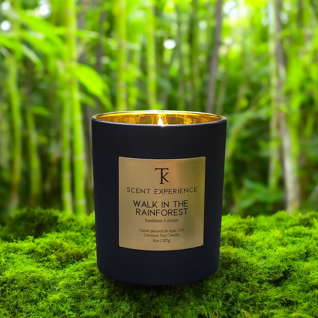 WALK IN THE RAINFOREST