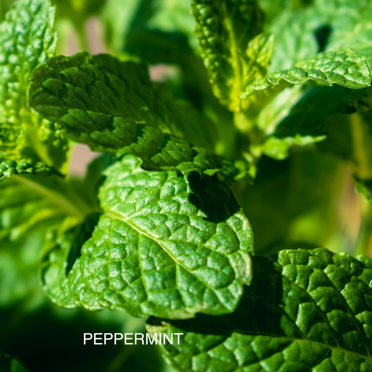 ABUNDANT AURA ROOM & LINEN MIST