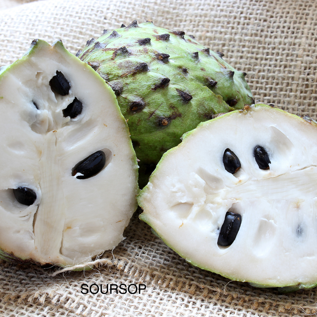 SOURSOP DREAM