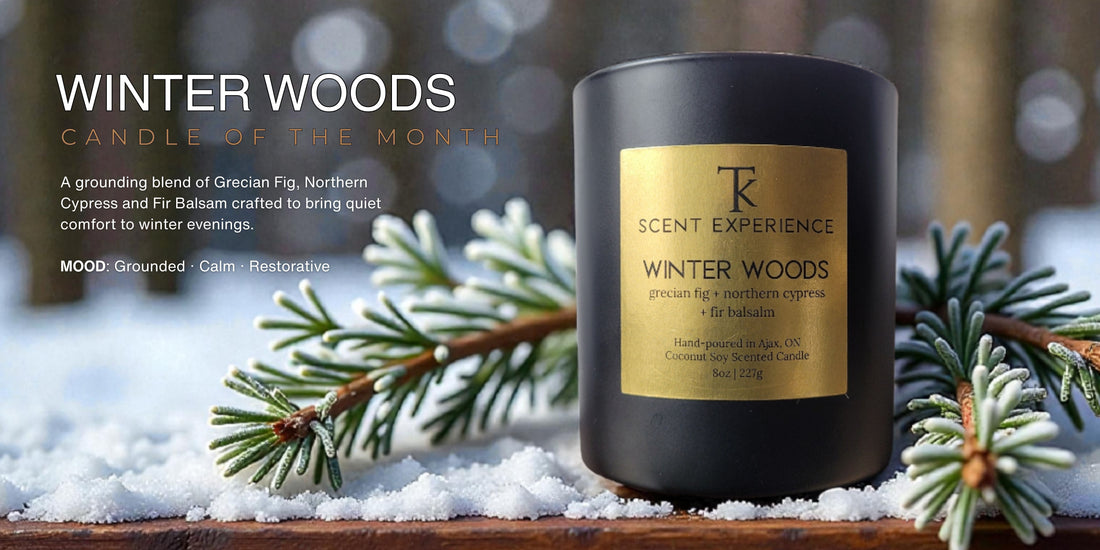 January Candle of the Month: Winter Woods -  A Grounded Winter Ritual