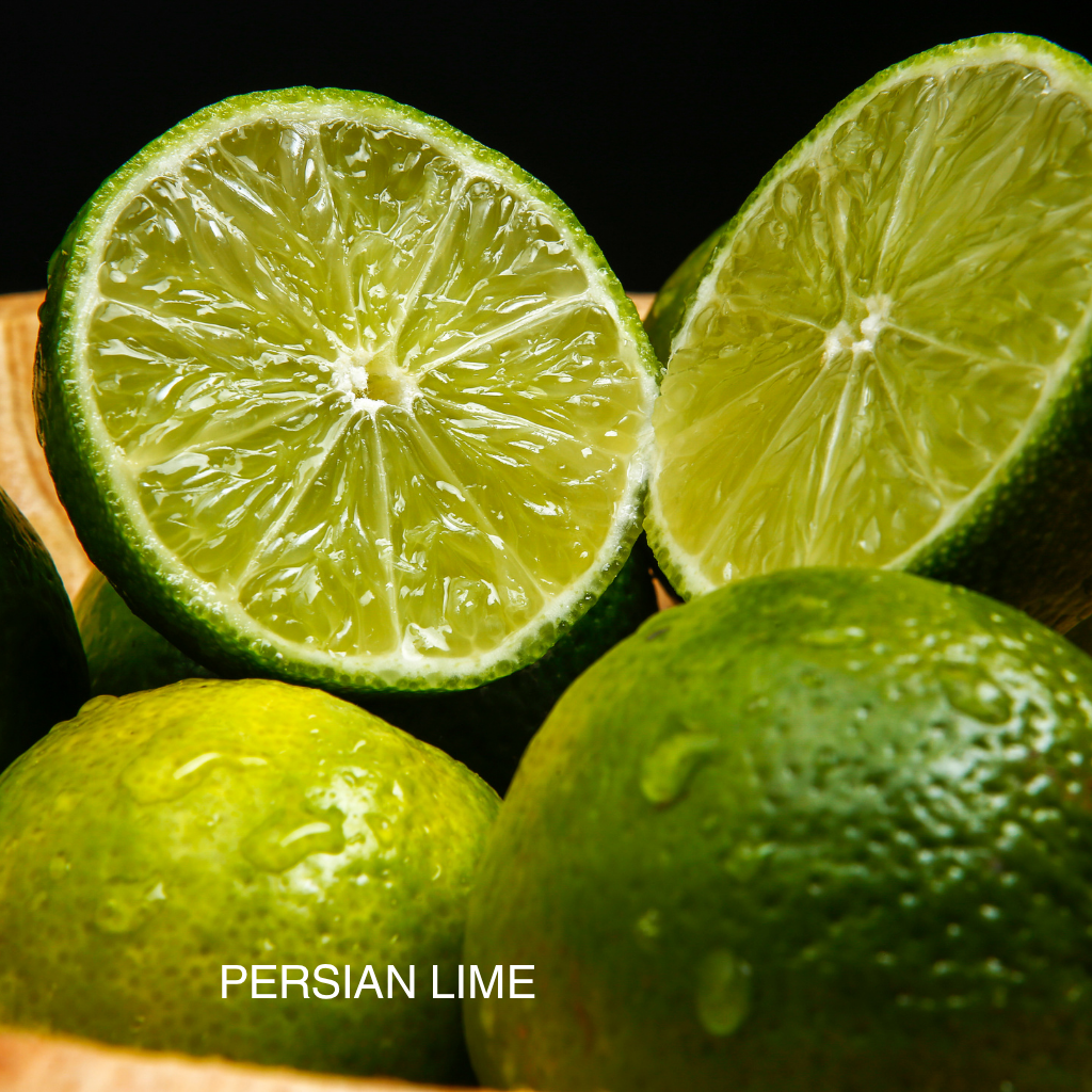 ZESTY RIDDIM