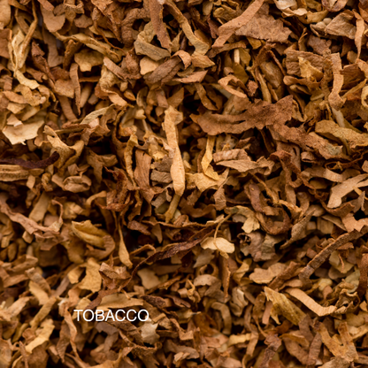 CARIBBEAN EMBER