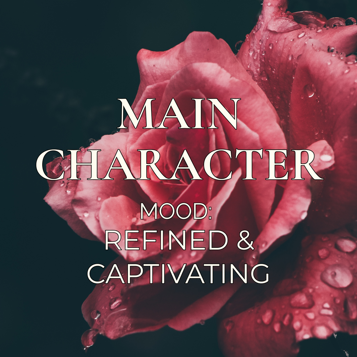 MAIN CHARACTER | WHIPPED BODY BUTTER